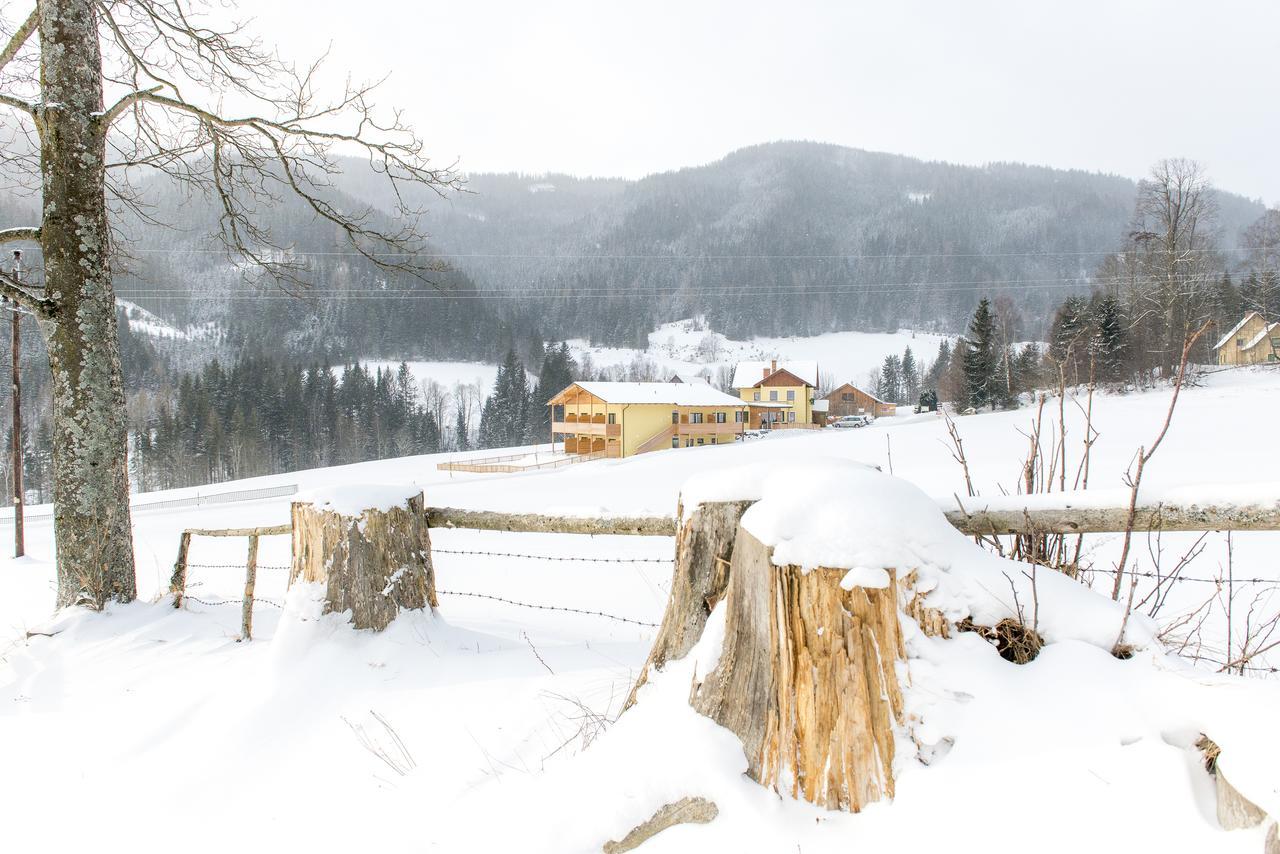 Gasthof Wachter Gaal Kültér fotó